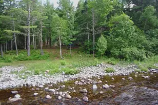 6 Maple Dr, Abbot, ME 04406 - Photo 97