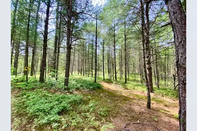 00 Brownfield Road, Hiram, ME 04041 - Photo 3