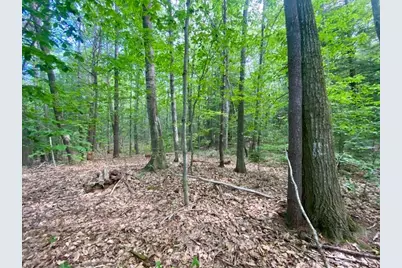 27 Nocturne Road, Parsonsfield, ME 04047 - Photo 15