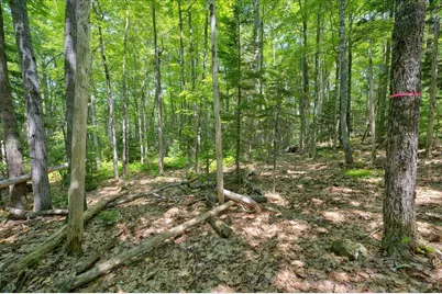Lot 4 Belle Grande Drive, Bar Harbor, ME 04609 - Photo 39