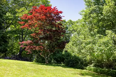 239 Ocean Point Road, Boothbay, ME 04544 - Photo 11