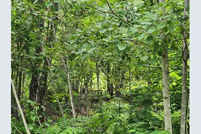 Lot A Blackberry Lane, Buckfield, ME 04220 - Photo 9
