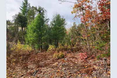Lot C Fern Drive, Buckfield, ME 04220 - Photo 5