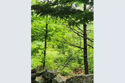 Lot C Fern Drive, Buckfield, ME 04220 - Photo 11