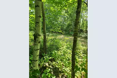 Lot C Fern Drive, Buckfield, ME 04220 - Photo 25