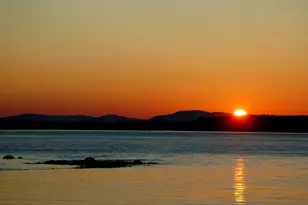 Lot 001 Sheephead Island, Deer Isle, ME 04627 - Photo 33