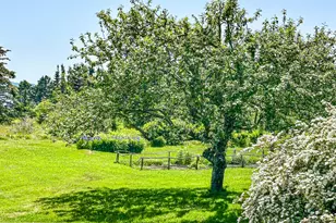 107 Kelley Point Rd, Jonesport, ME 04649 - Photo 81