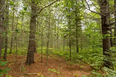 Part Of Map 7 Lot 48-A Nelson Ridge Road S, Washington, ME 04574 - Photo 5