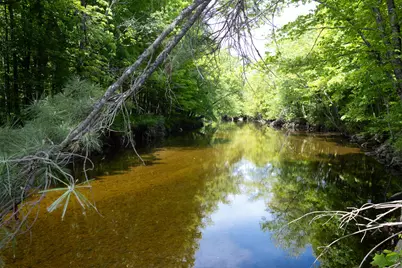 10 South Arm Road, Andover, ME 04226 - Photo 93