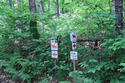 10 South Arm Road, Andover, ME 04226 - Photo 97