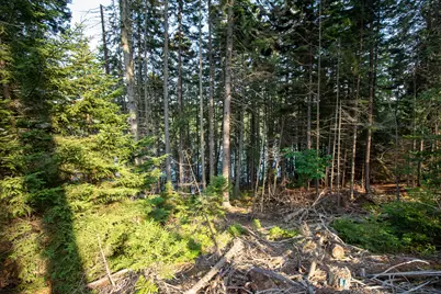 0 Bayview Road #2, Harpswell, ME 04066 - Photo 21