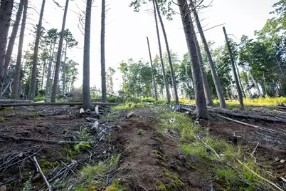 0 Bayview Road #2, Harpswell, ME 04066 - Photo 41