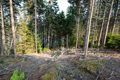 0 Bayview Road #2, Harpswell, ME 04066 - Photo 29