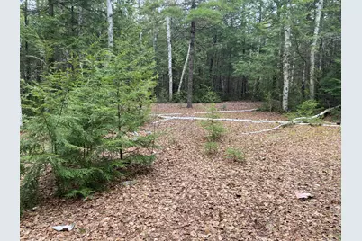 Tbd Depot Road, Lakeville, ME 04487 - Photo 37