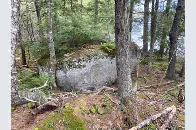 Tbd Depot Road, Lakeville, ME 04487 - Photo 35