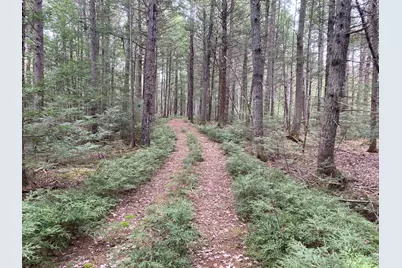 Tbd Depot Road, Lakeville, ME 04487 - Photo 31