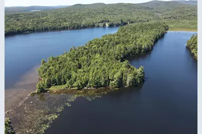 Tbd Depot Road, Lakeville, ME 04487 - Photo 7