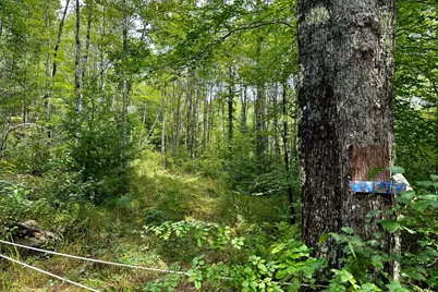 47C Spiritwind Farm Road, Lebanon, ME 04027 - Photo 25