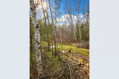 315 Golf Course Road, Newport, ME 04953 - Photo 9