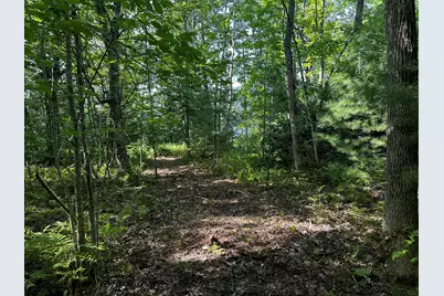Lot 005 State Route 46 Route, Bucksport, ME 04416 - Photo 11