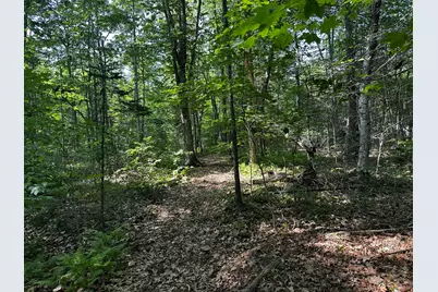 Lot 005 State Route 46 Route, Bucksport, ME 04416 - Photo 7