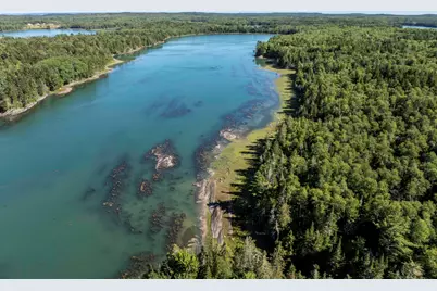 Lot 48 Coffins Neck Road, Lubec, ME 04652 - Photo 7
