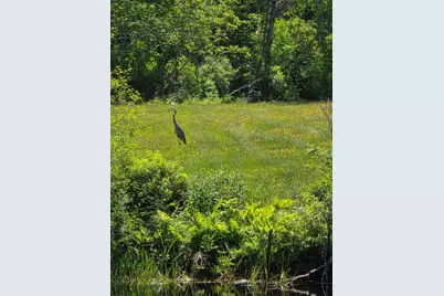 22 Boardman Way, Belfast, ME 04915 - Photo 31
