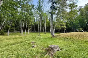 397 Lily Bay Rd, Greenville, ME 04441 - Photo 53