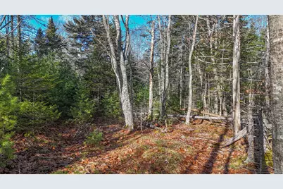 Lot #13-1 Shore Road, Ellsworth, ME 04605 - Photo 39