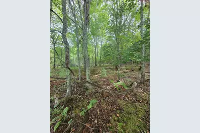 Lot #13-1 Shore Road, Ellsworth, ME 04605 - Photo 21