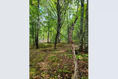 Lot #13-1 Shore Road, Ellsworth, ME 04605 - Photo 27