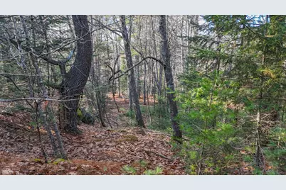 Lot #13-1 Shore Road, Ellsworth, ME 04605 - Photo 37