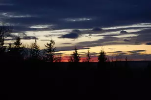 48 Kingsley Farm Rd, Gouldsboro, ME 04607 - Photo 71