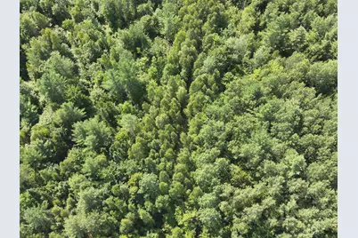279 East Branch Road, Seboeis Plantation, ME 04448 - Photo 11