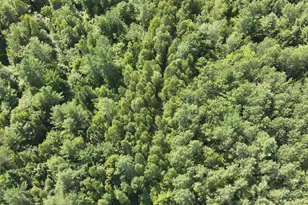 279 E Branch Rd, Seboeis Plantation, ME 04448 - Photo 11