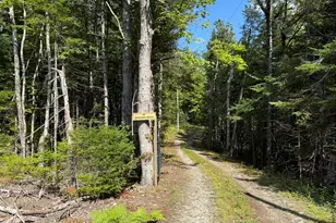 41 Sportsmen's Lodge Rd, Marshfield, ME 04654 - Photo 45