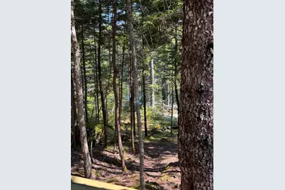 41 Sportsmen's Lodge Road, Marshfield, ME 04654 - Photo 43