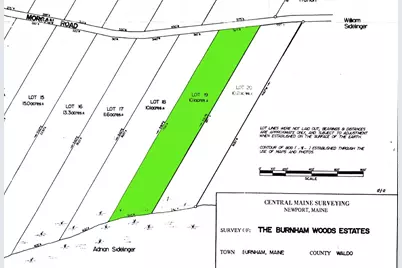 M 5 Lot 41 Morgan Road, Burnham, ME 04922 - Photo 3