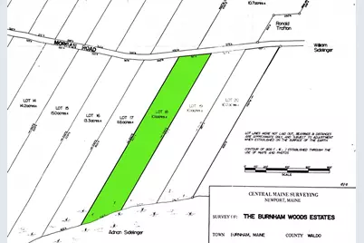 M5 Lot 43 Morgan Road, Burnham, ME 04922 - Photo 3