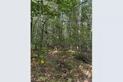 Lot# 55 Arlines Way, Woodstock, ME 04219 - Photo 11