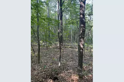 Lot# 55 Arlines Way, Woodstock, ME 04219 - Photo 5