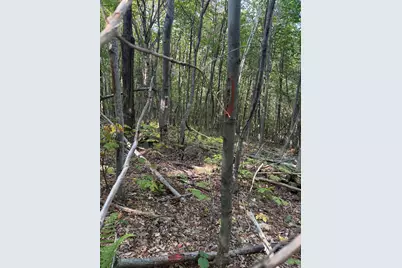 Lot# 55 Arlines Way, Woodstock, ME 04219 - Photo 7
