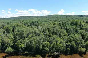 Lot 4 Woodland Ridge Rd, Danforth, ME 04424 - Photo 1