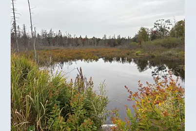 M17L21 Basin Road, Addison, ME 04606 - Photo 15