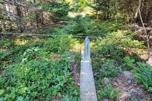916 U S Rte 1, Jonesboro, ME 04648 - Photo 3