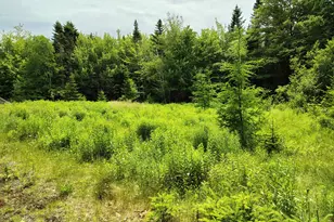 916 U S Rte 1, Jonesboro, ME 04648 - Photo 7