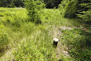 916 U S Rte 1, Jonesboro, ME 04648 - Photo 5
