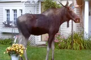 102 Degregoire Park, Bar Harbor, ME 04609 - Photo 31