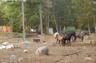 125 Corn Hl Rd, Brownfield, ME 04010 - Photo 37