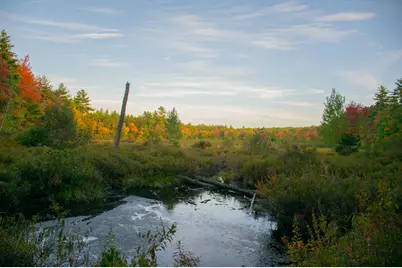 Tbd New Dam Road, Waterboro, ME 04061 - Photo 21